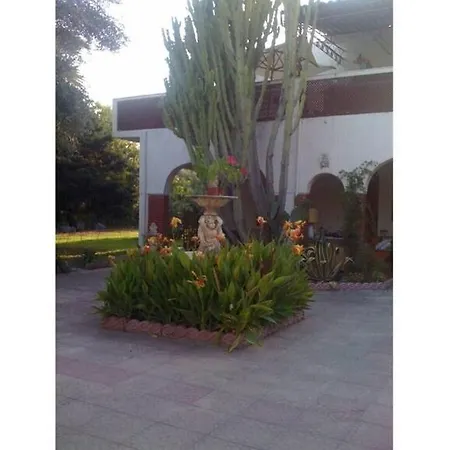 La Casa Di Rosa Joppolo